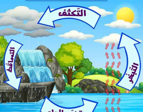 بوربوينت عن أهمية دورة الماء